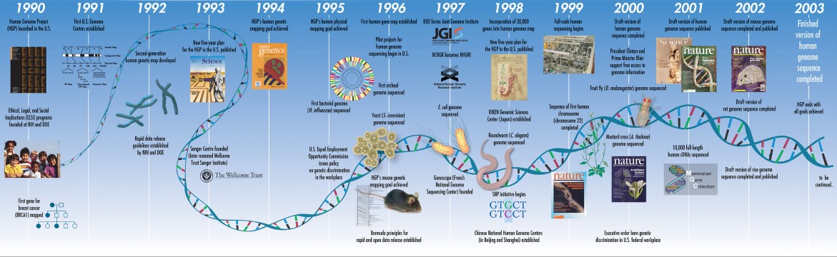 Human Genome Project Timeline