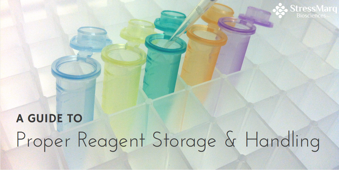 Proper Reagent Storage and Handling StressMarq