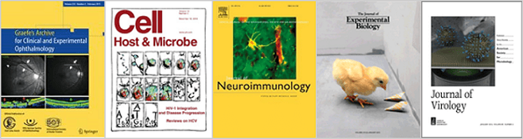 Jan 2015 Publications Journal Covers