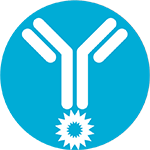 Antibodies Conjugates