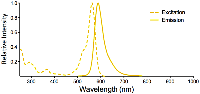 ATTO 565 Fluorophore Excitation and Emission Spectra