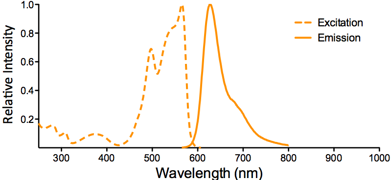 PE-ATTO 594 Fluorophore Conjugate Excitation and Emission Spectra