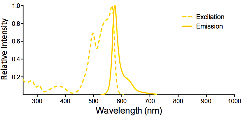 R-PE Fluorophore Excitation and Emission Spectra