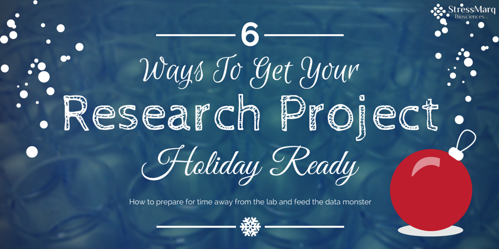 6 Quick Ways to Get Your Research Project Holiday Ready