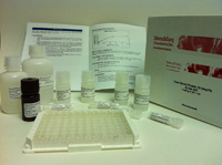 HSP70 ELISA Kit SKT-105