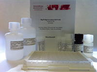 HSP70 ELISA Kit SKT-108