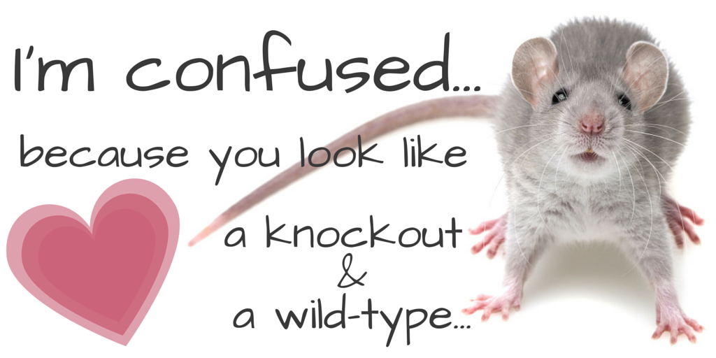 Science pick-up lines - I'm confused because you look like a knockout and a wildtype