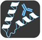 Monoclonal Antibodies