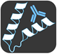 Monoclonal-Antibodies-Icon