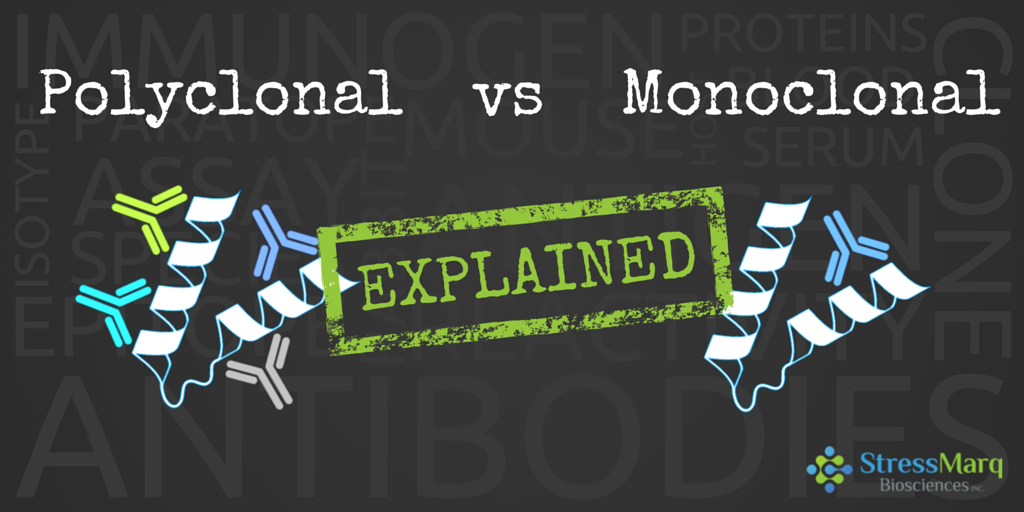Monoclonal vs Polyclonal Antibodies Explained