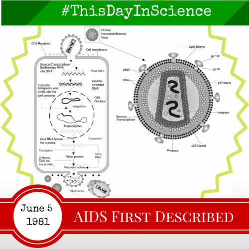 Aids First Described June 5, 1981 - This Day In Science
