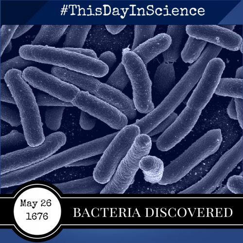 Bacteria was discovered May 26, 1676 - This Day In Science