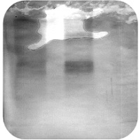 Western blot troubleshooting - Patchy background