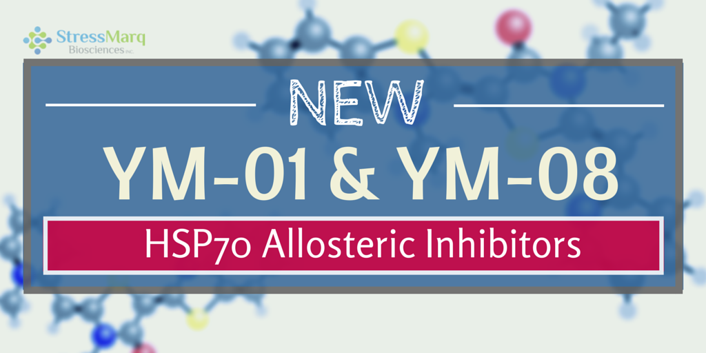 YM-01 and YM-08 New HSP70 Inhibitors 2