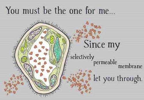 Science pick-up lines - You must be the one for me, since my selectively permeable membrane let you through.