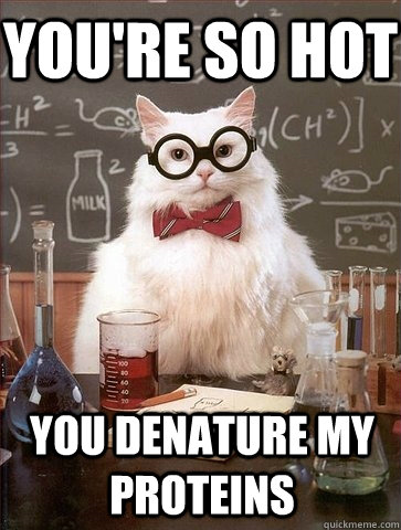 Science pick-up lines - You're so hot, you denature my proteins.