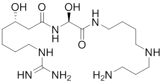 Spergualin Chemical Structure HSP70 Inhibitors and Modulators