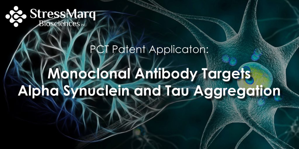 PCT Patent Application: Monoclonal Antibody Targets Alpha Synuclein and Tau Aggregation