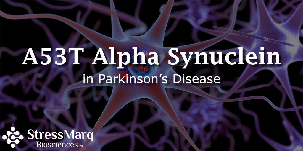 A53T Alpha Synuclein in Parkinson's Disease