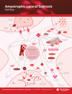 ALS Pathway Poster