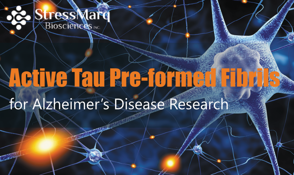 Tau Pre-formed Fibrils