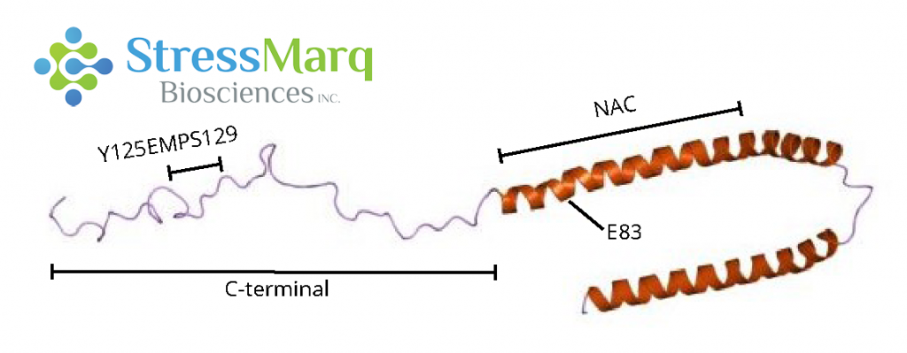 Y125EMPS129 and E83 in alpha synuclein