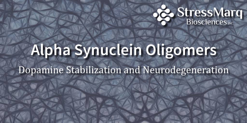 Dopamine Alpha Synuclein Oligomers