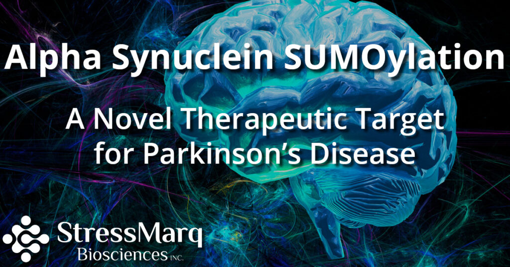 Alpha synuclein SUMOylation: A Novel Therapeutic Target for Parkinson's Disease