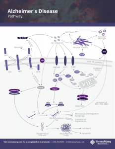 Alzheimer's Disease Pathway Poster