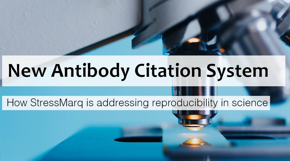 New Antibody Citation System