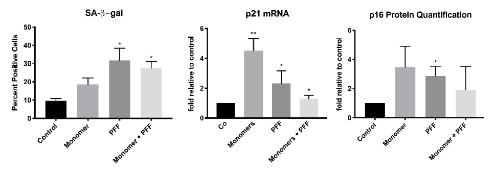 Extracellular tau induces cellular senescence in human astrocytes