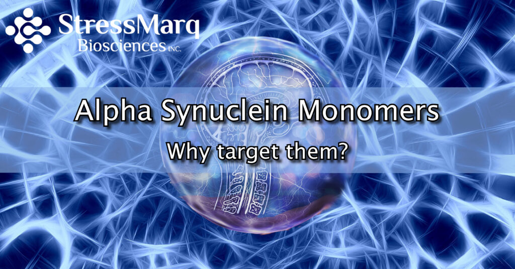 Why target Alpha Synuclein Monomers?
