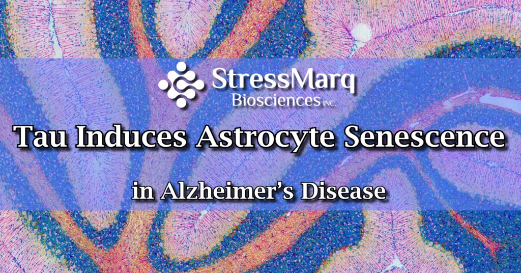 Tau causes astrocyte senescence in neurodegenerative disease