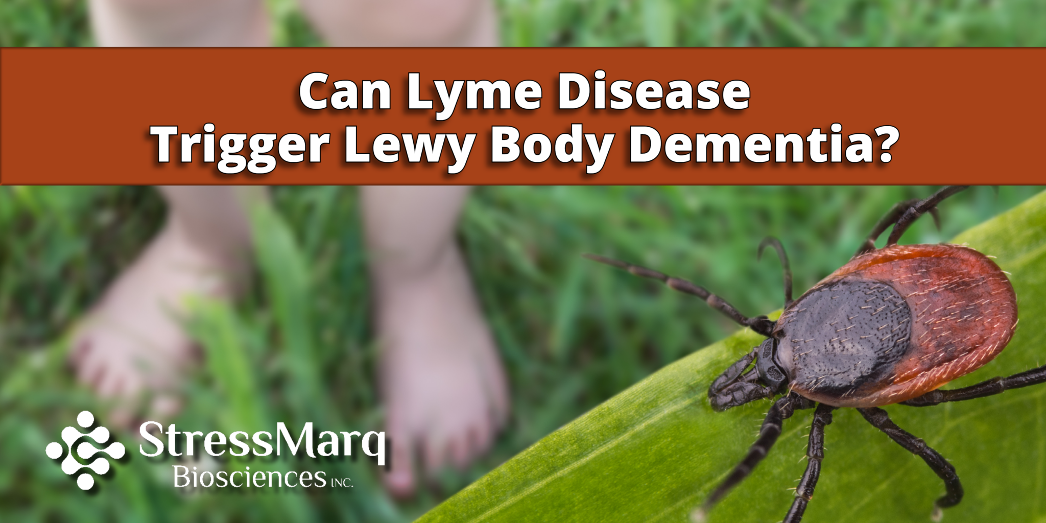 Lyme Disease infection may help trigger Lewy Body Dementia