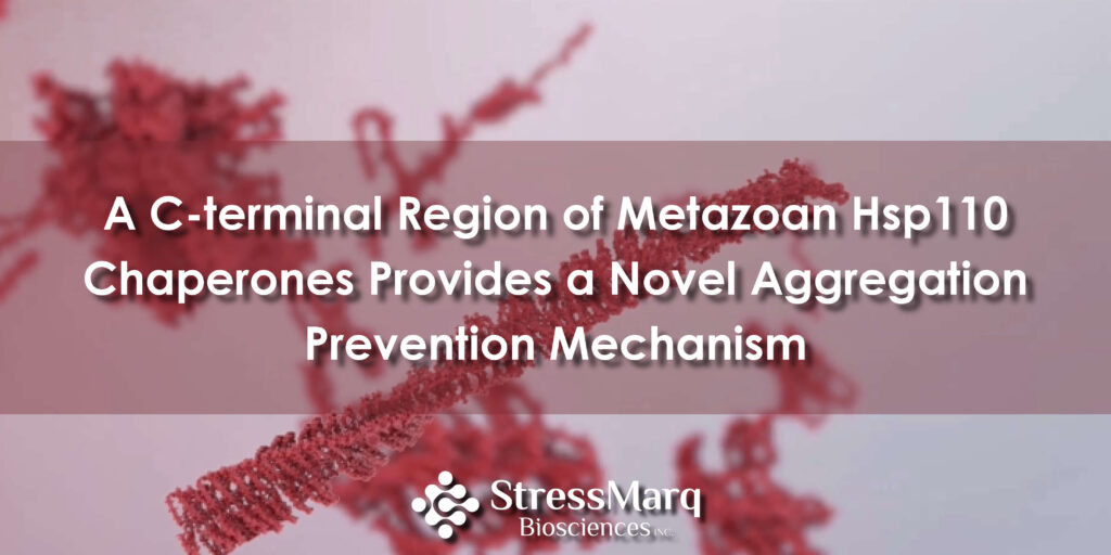 A C-terminal Region of Metazoan Hsp110 Chaperones Provides a Novel Aggregation Prevention Mechanism