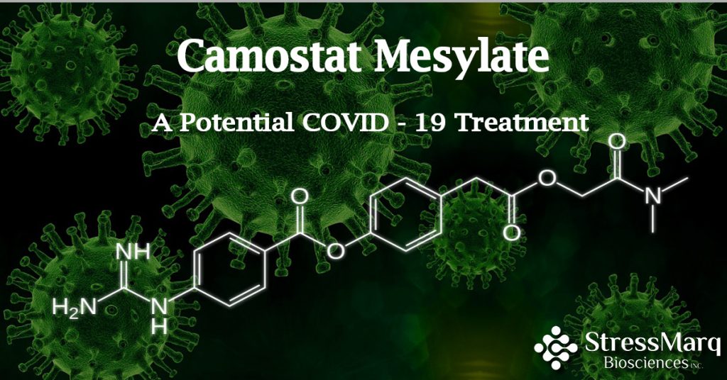 Camostat mesylate_A potential COVID-19 treatment