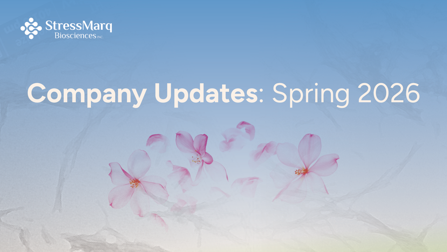 The Spring Update Company Updates: Spring 2026 | StressMarq