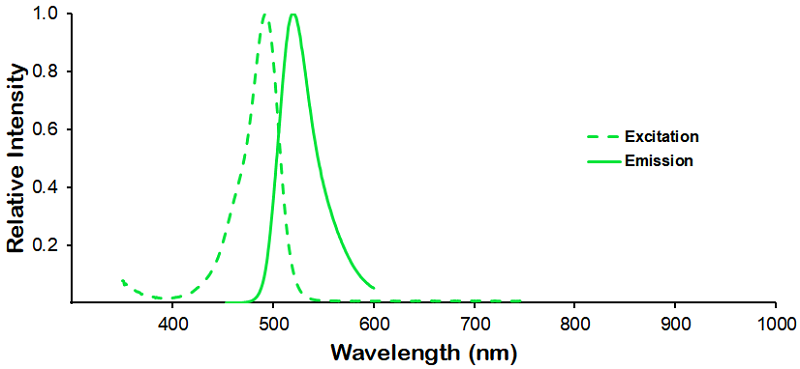 Dylight 488 Fluorophore Absorption and Emission Spectrum