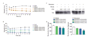 Effects of CIG on Tau Aggregation