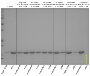 Fibril solubility changes with sonication