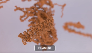 Filaments