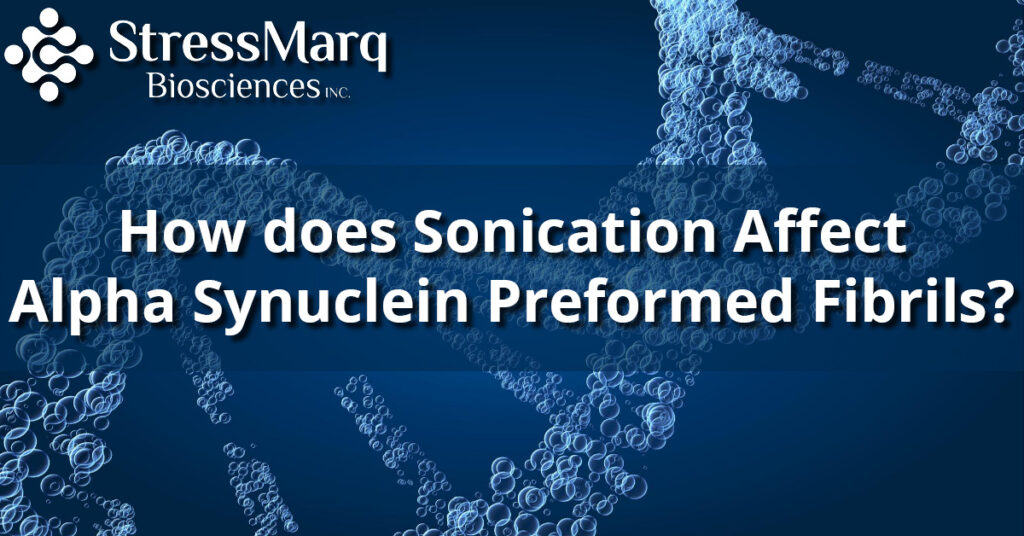 How does sonication affect alpha synuclein PFFs