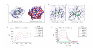 Interaction between MOR or LOG and Tau