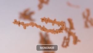 Protein Monomer