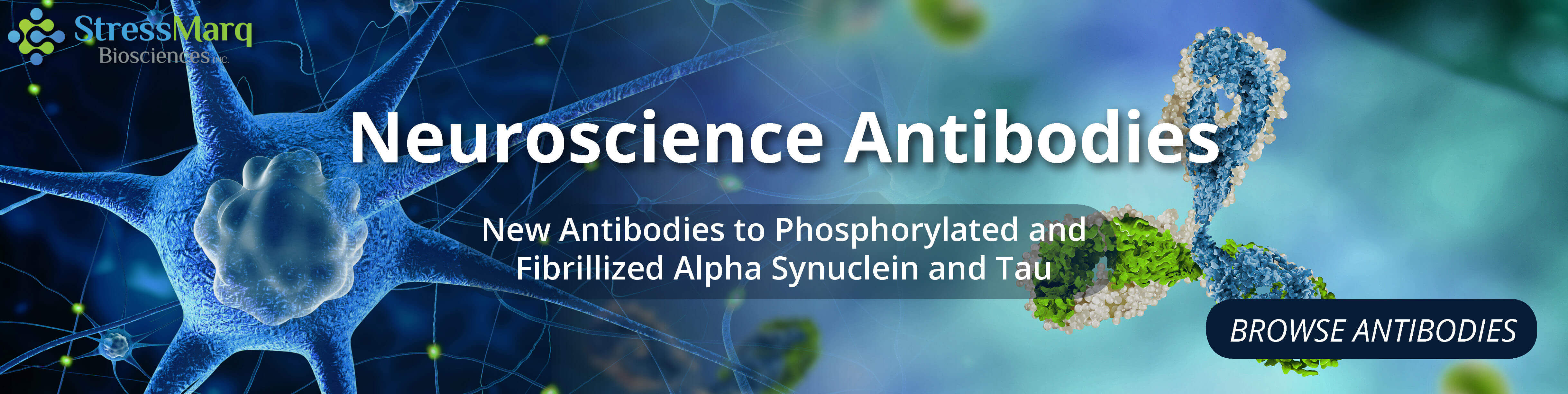 StressMarq Biosciences Antibodies, Proteins, Kits, Molecules