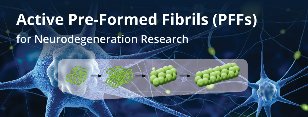 Active PFFs and Protein Filaments for Neurodegeneration Research