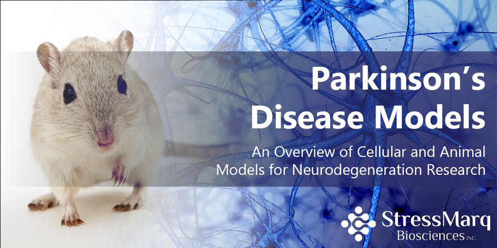 Parkinson's Disease Models An Overview of Cellular Models for Neurodegeneration