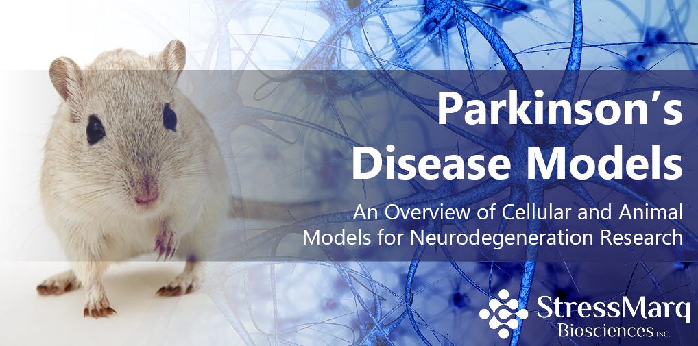 Parkinson's Disease Models An Overview of Cellular and Animal Models