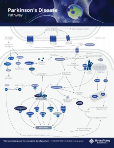 Parkinson's Disease Pathway Poster