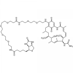 SIH-112_Geldanamycin_Biotin_Chemical_Structure.png